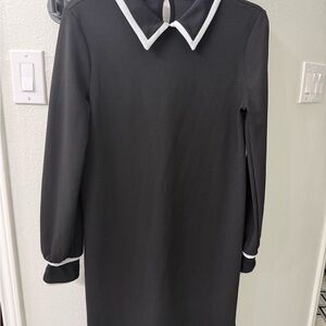 Zara Basic Collared Black Long Sleeve Dress with White Trim Size Small